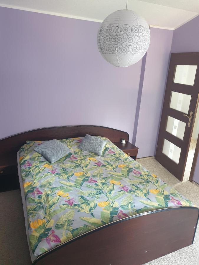 Apartament Pod Sosnami 1 Noclegi Otw Borowno Wlk Скаршеви Екстер'єр фото